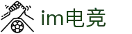im电竞·(中国)电子竞技平台